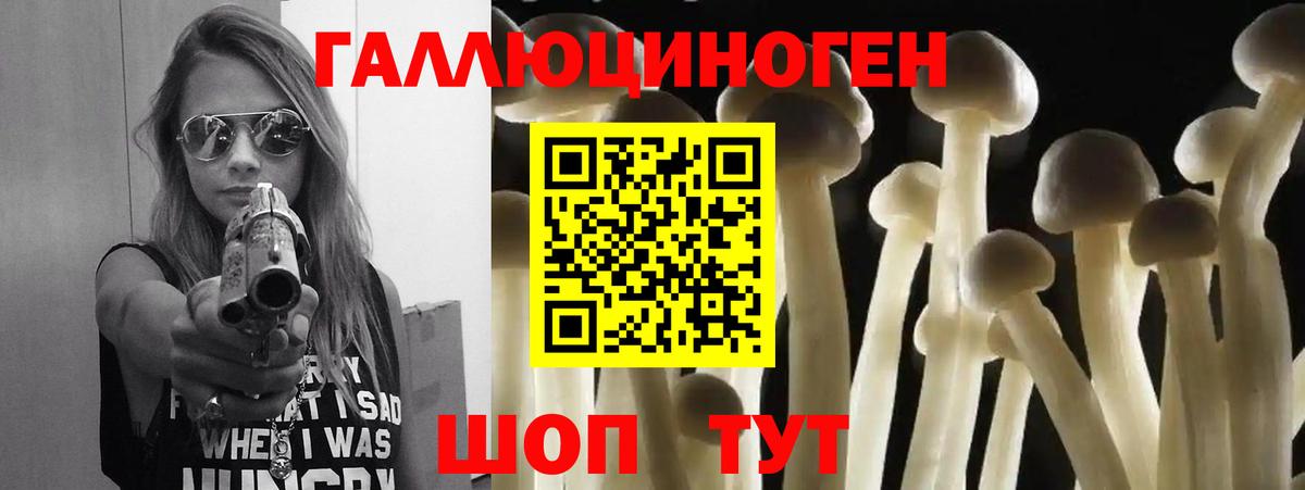 Галлюциногенные грибы GOLDEN TEACHER Зерноград